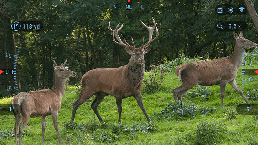 ATN BINOX 4K 4-16X – DAY/NIGHT VISION BINOCULARS WITH LASER RANGER